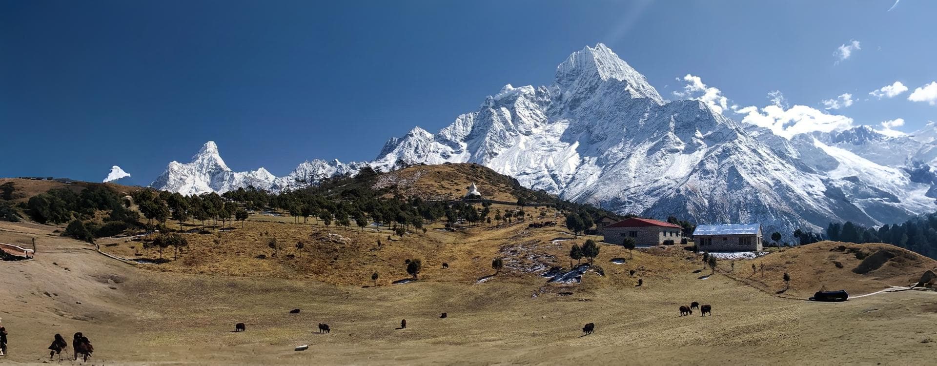 travel news and updates