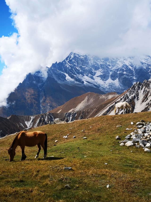Langtang Trekking Region