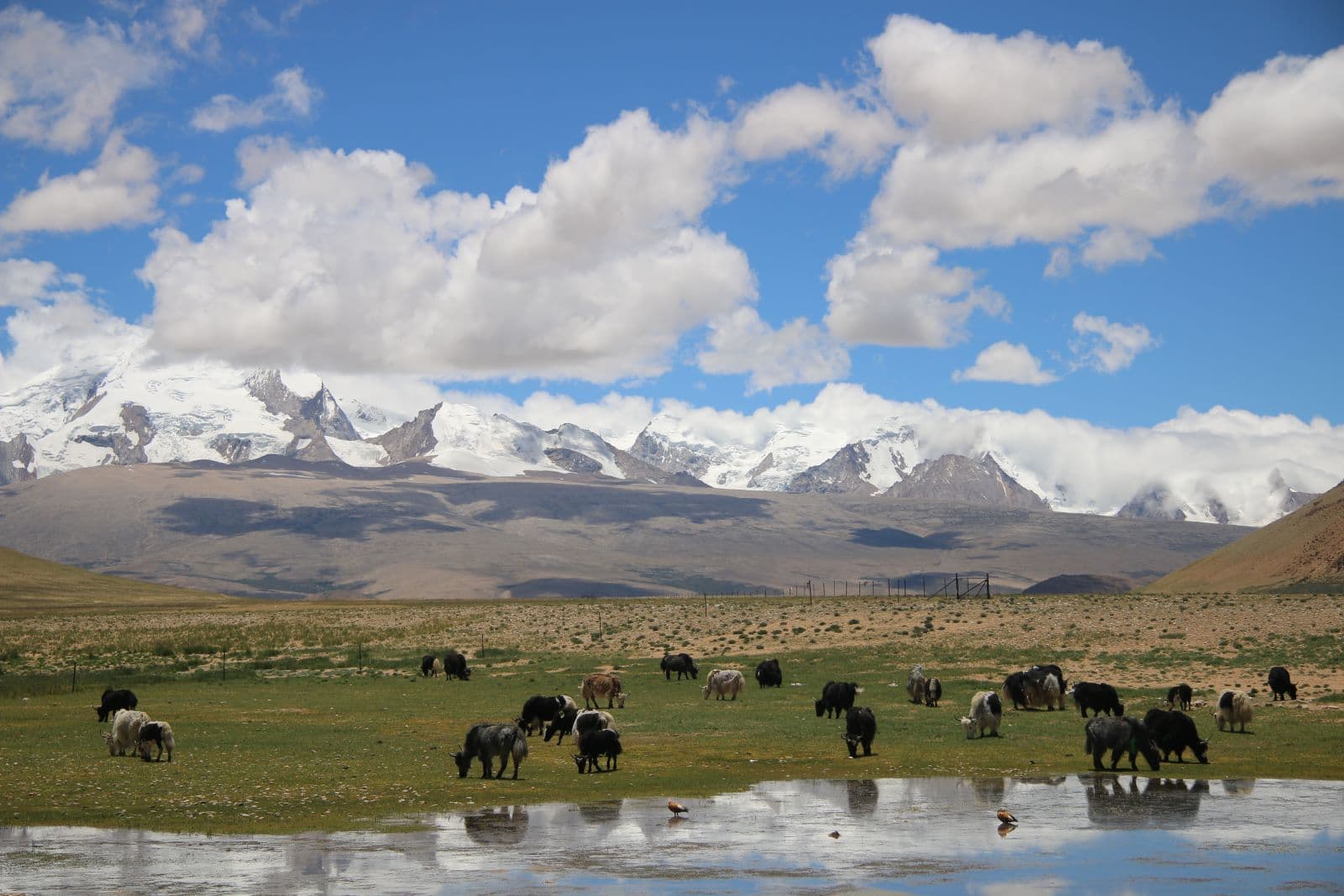 1. "Exploring the Roof of the World: A Comprehensive Guide to Your Unforgettable Tibet Tour"