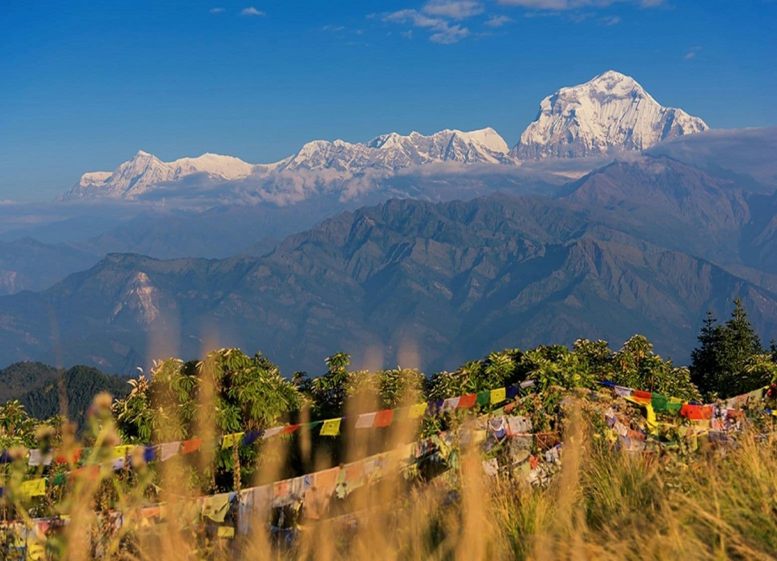 Ghorepani Poonhill Trek in Nepal