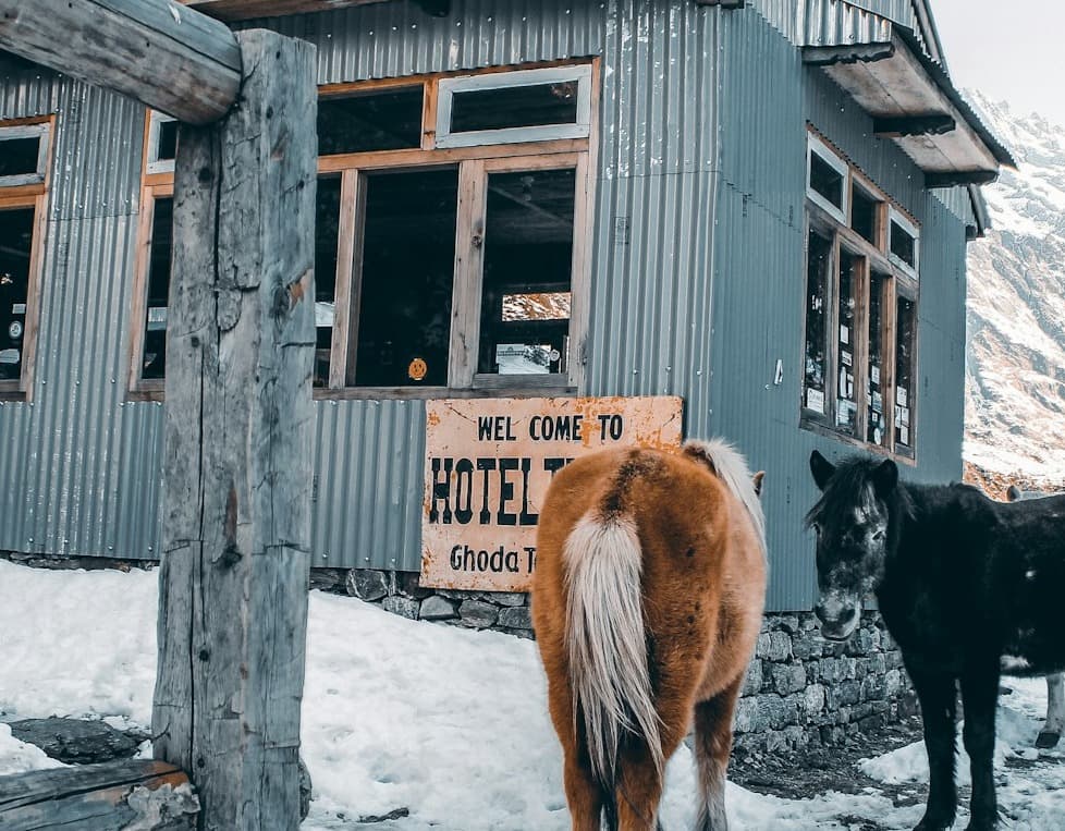 Journey Through Langtang's Majestic Landscapes and Tamang Culture