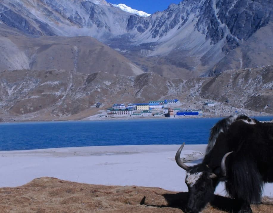 Top 10 most google searched Nepal Trekking Trail